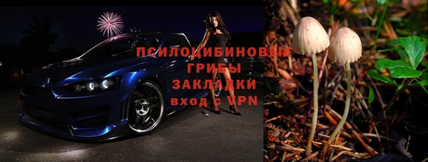 хмурый Осинники