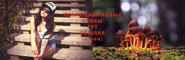 хмурый Осинники