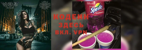 хмурый Осинники
