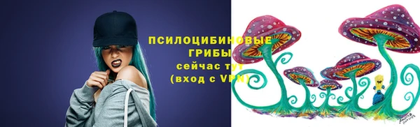 первитин Осташков