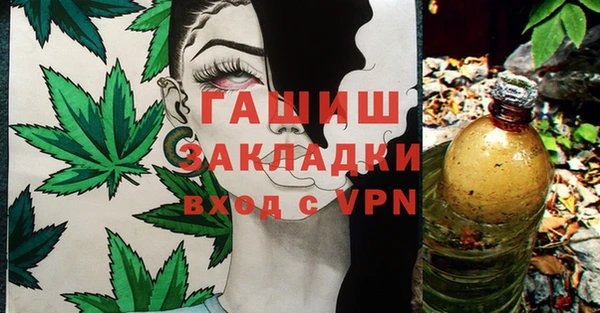 хмурый Осинники