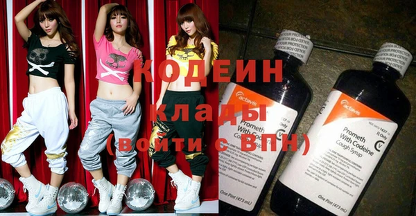 хмурый Осинники