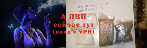 прущие грибы Остров