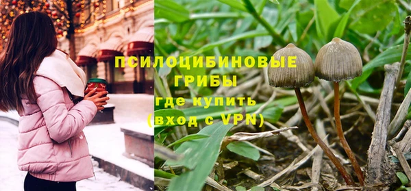 хмурый Осинники