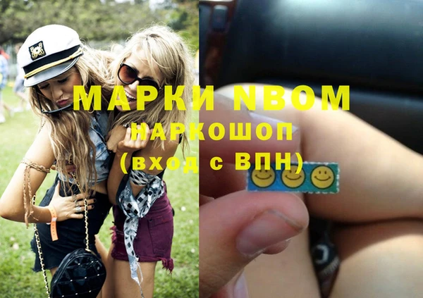 хмурый Осинники