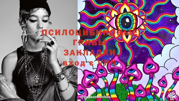 хмурый Осинники